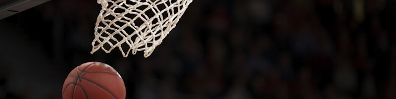 熊猫体育官方网站首页大厅 - 现代简约的运动门户界面展示