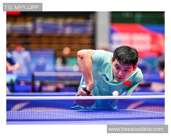 杭州羽毛球队防反战术革新探索与实践的深度分析与展望