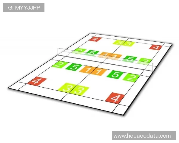 武汉羽毛球队进攻体系解析与战术运用探讨